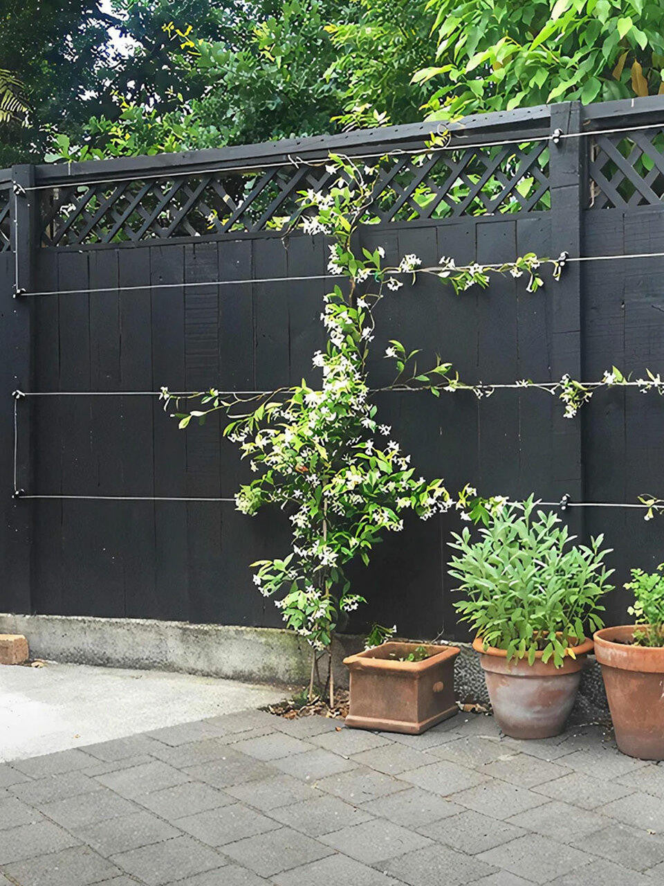 Surface mounted universal espalier kit with wire by Espalar, featuring metal components for garden plant training.