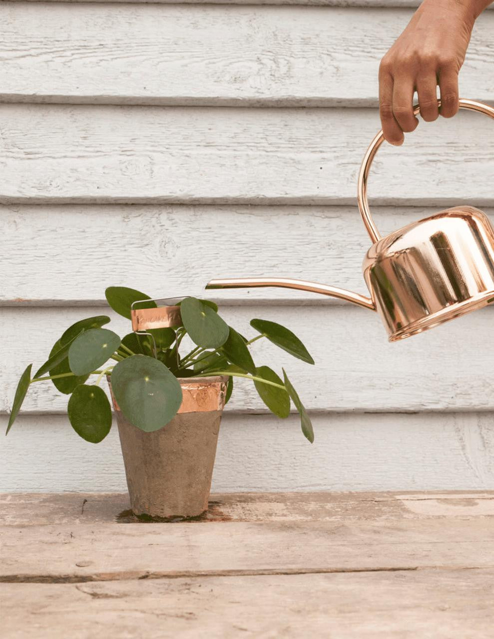 Copper tape from ESSCHERT DESIGN, showing a roll of metallic copper tape with a textured surface, ideal for craft and decoration projects.