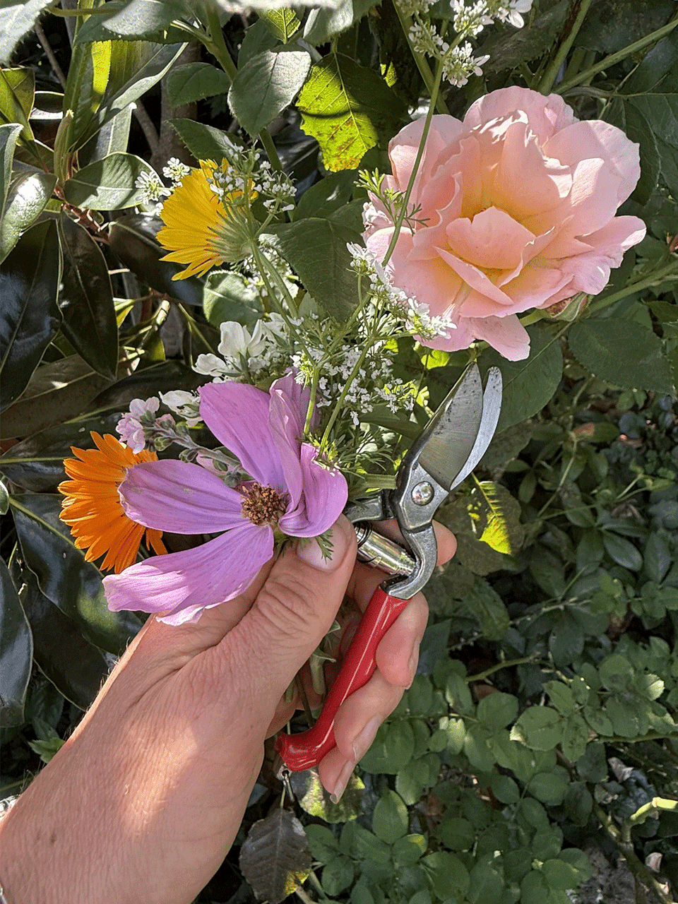 Esschert Design mini pruner with a compact handle and sharp blades for precise gardening trimming.