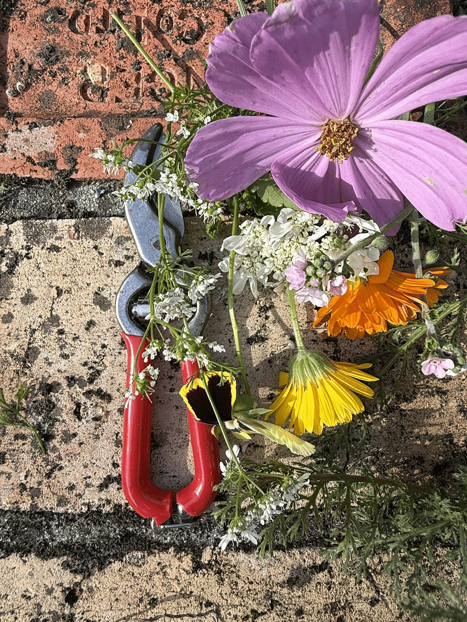 Esschert Design mini pruning shear with ergonomic handle for precise trimming of small plants and garden branches.