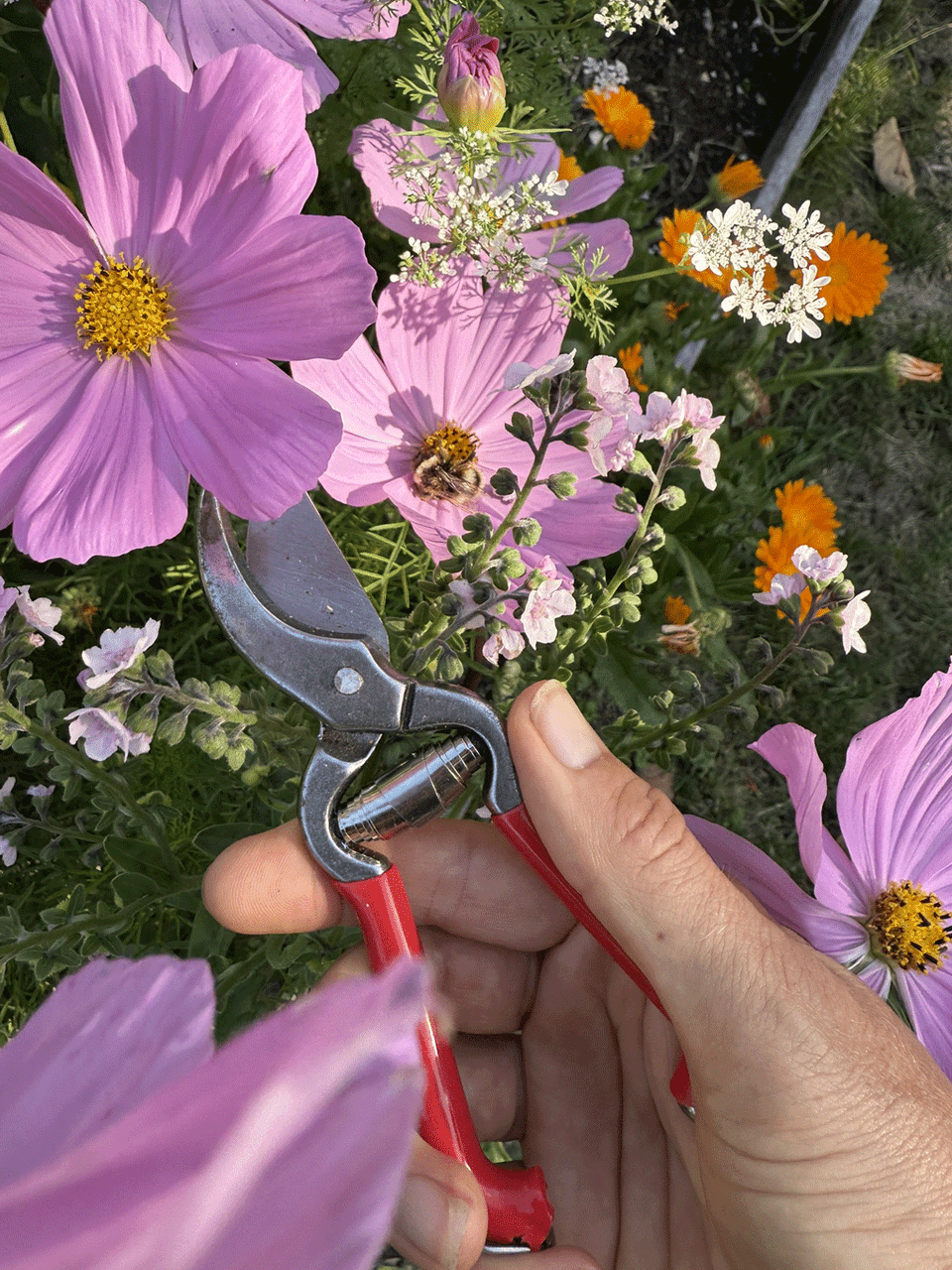 Esschert Design mini pruner with stainless steel blades and ergonomic handle for precise garden trimming and pruning.
