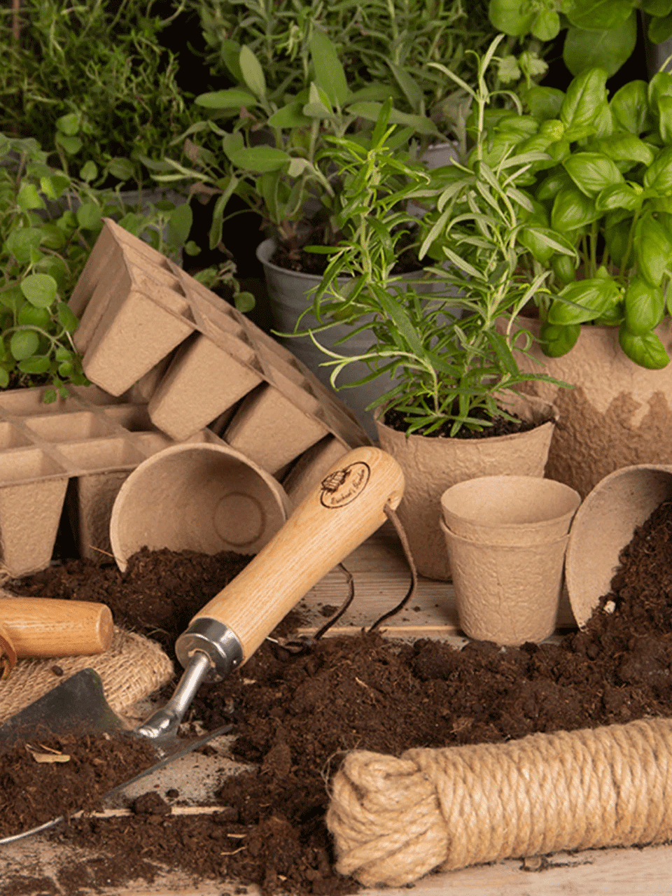 Small round Esschert Design grow pot with a 6x5cm size, suitable for indoor or outdoor planting and gardening.