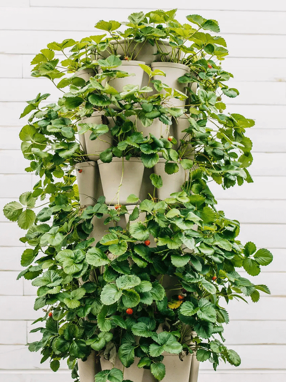 GreenStalk 7-tier vertical planter in sleek black with multiple planting levels for indoor or outdoor gardening.
