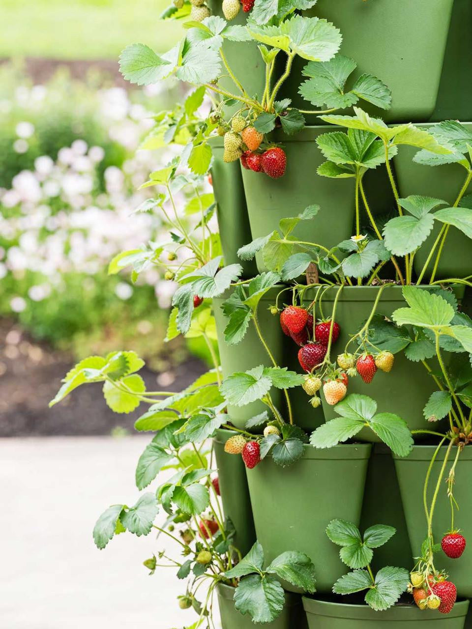 GreenStalk 7-tier original vertical planter in green, showcasing multiple planting layers for indoor or outdoor gardening.