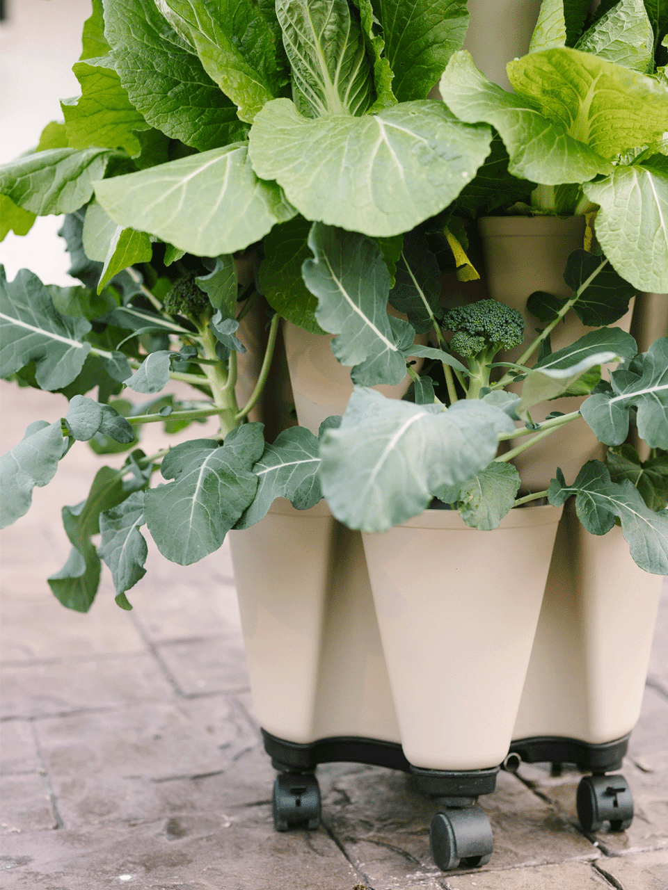 GreenStalk Mover, a gardening tool with a green handle and metal components, used for moving and handling plants or soil.