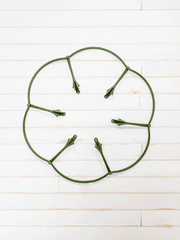 GreenStalk single plant support with flexible green stakes and clips for supporting tall plants in garden or container.