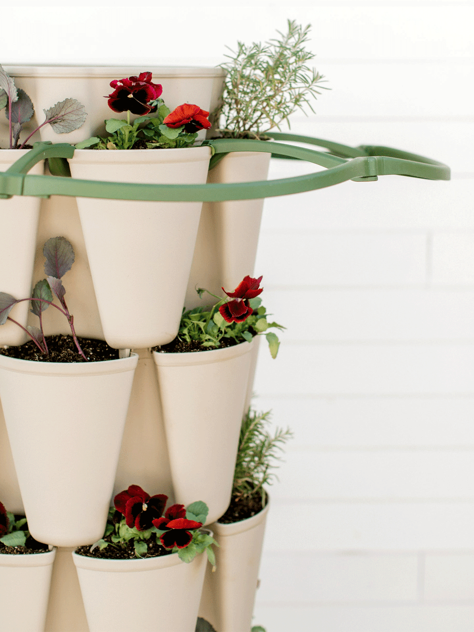 GreenStalk plant support for single plants, featuring a sturdy green metal frame to support healthy plant growth.
