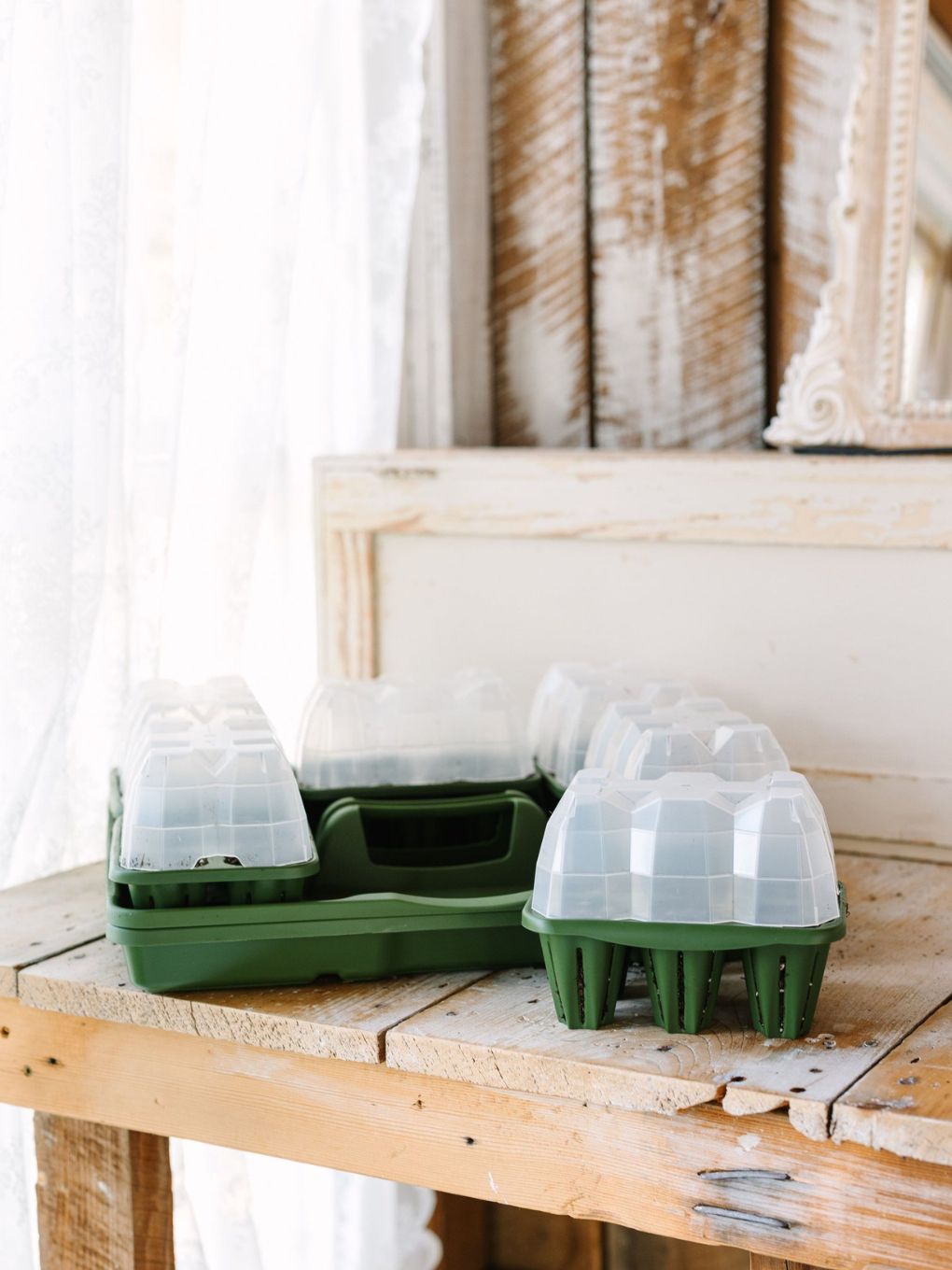 GreenStalk seed starter kit with clear domes and small green trays, designed for sprouting and growing indoor plants.