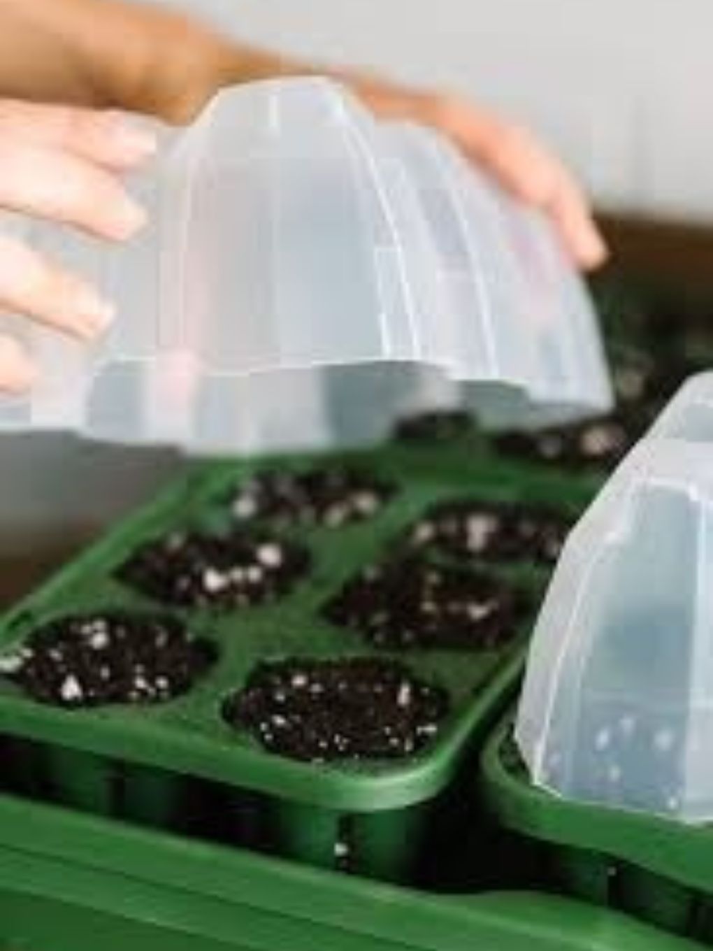 GreenStalk Seed Starter Kit with clear domes for growing evergreen seeds, includes planting trays and growth covers.