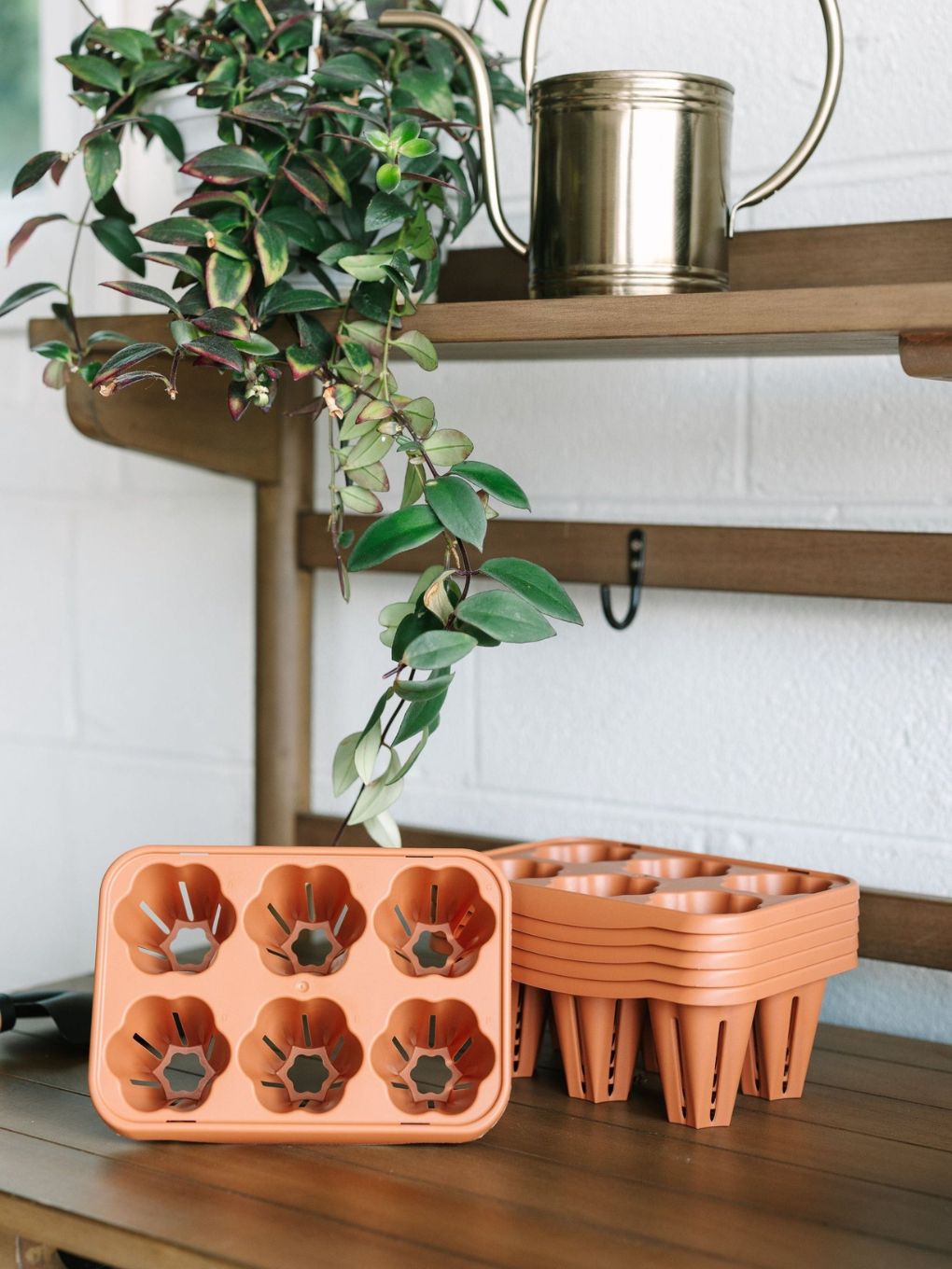 GreenStalk seed starter kit with terracotta domes for easy indoor planting and seed germination.