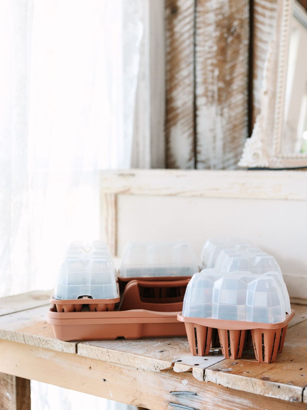 GreenStalk seed starter kit with terracotta domes for easy seed germination and indoor gardening.