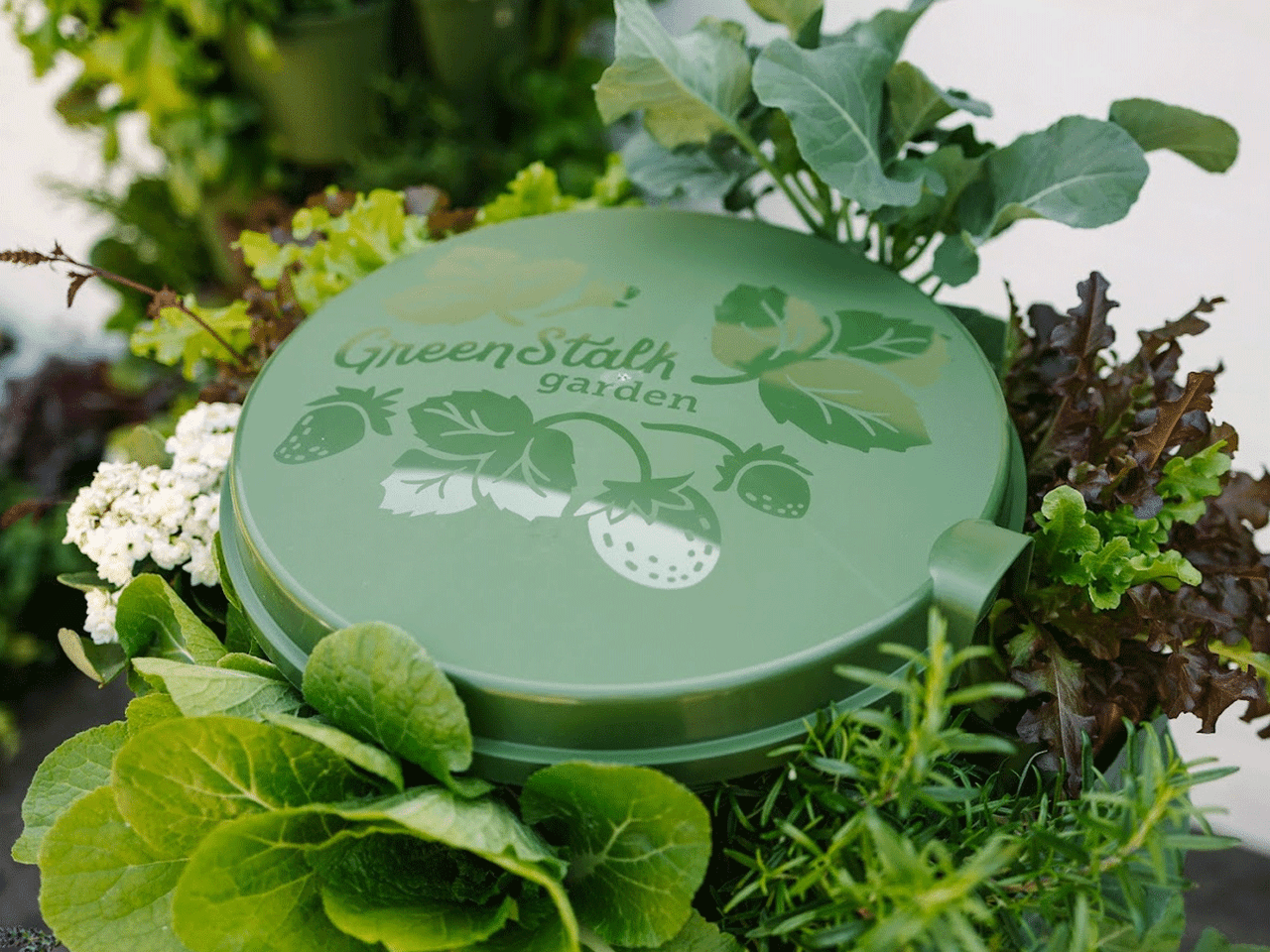 GreenStalk Spring Automatic Watering System for garden planters, showing hoses and watering components in action.