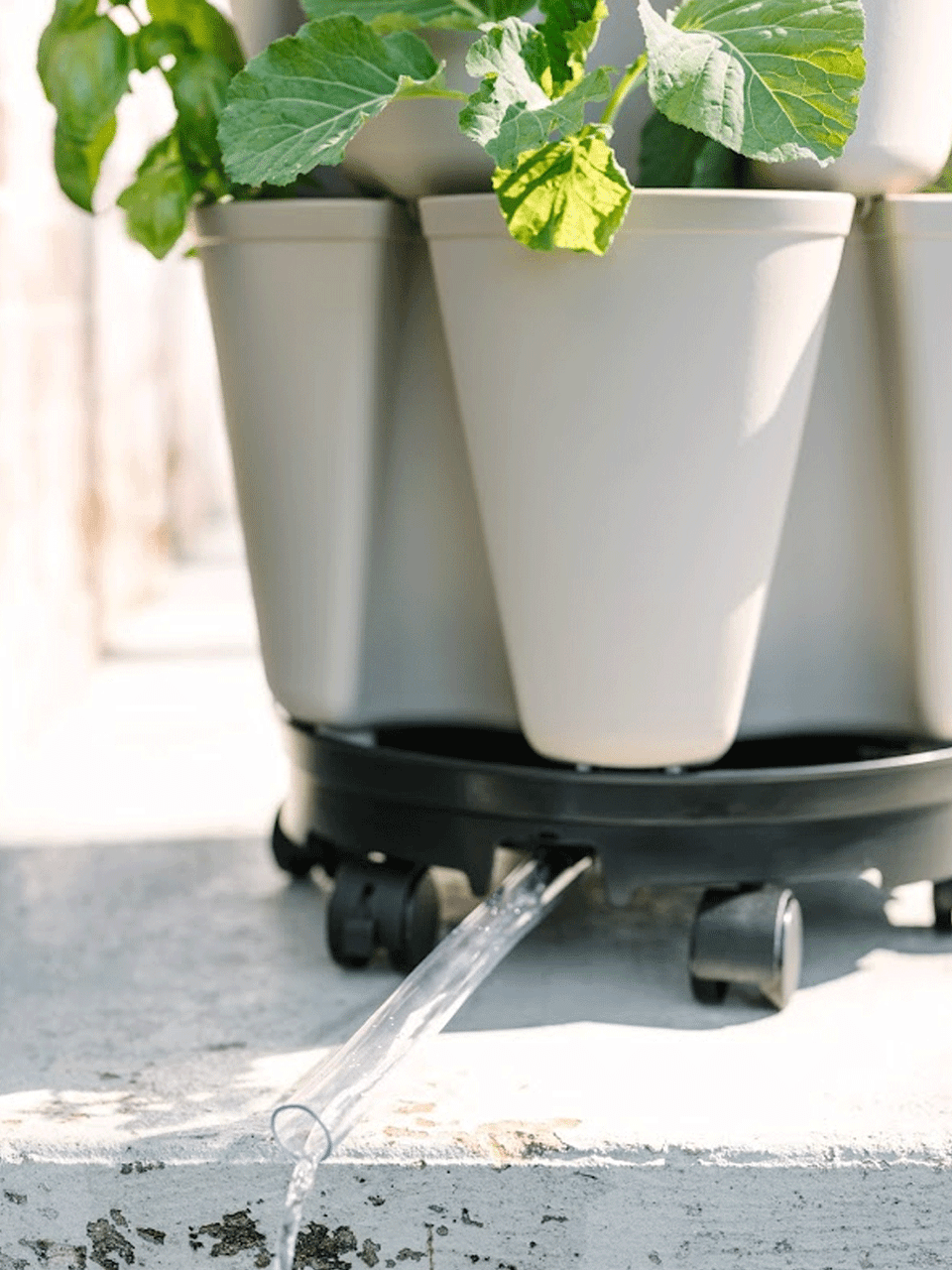 GreenStalk Spring Automatic Watering System for garden containers, featuring adjustable hoses and watering timers.