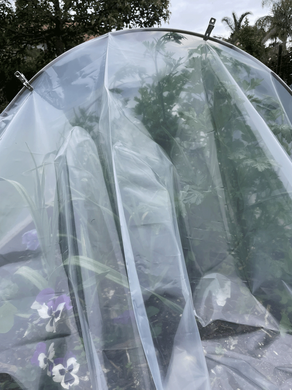 Gubba 1m and 2m poly cover in clear plastic, designed for protecting furniture or equipment from dust and moisture.