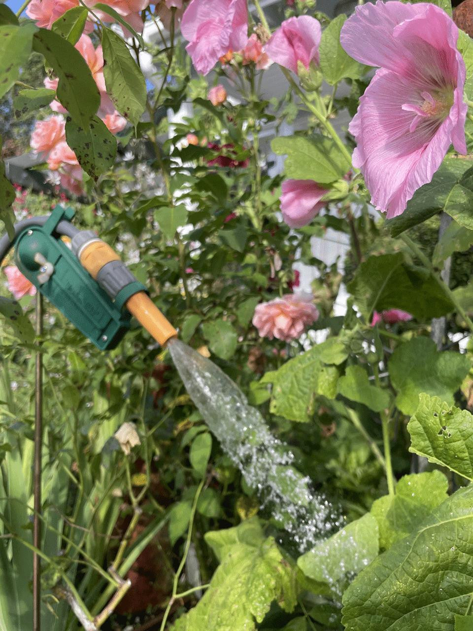 Dugard Hose Holder for wall mounting, designed to organise garden hoses neatly — Bugg