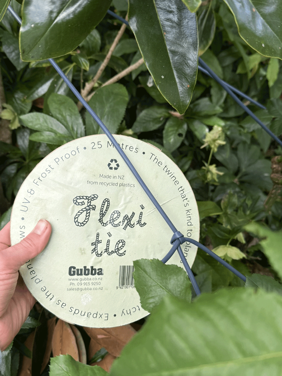 Flexi-tie in black, reusable and adjustable for tying plants to stakes and trellises — Bugg