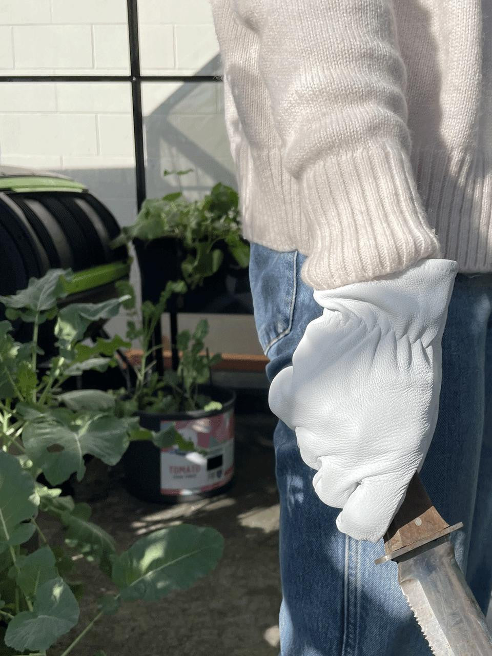 Gubba Thorn Guard Short in rose white, designed to protect clothing from thorn damage, with a sleek and durable fabric.