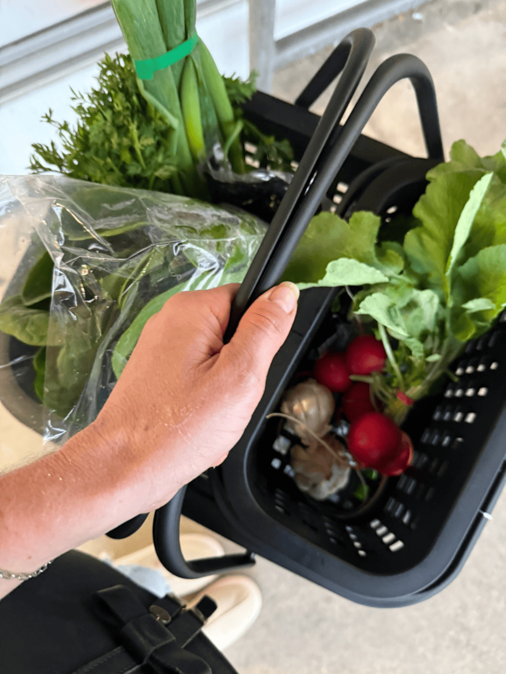 Cestino Basket & Lid - Black