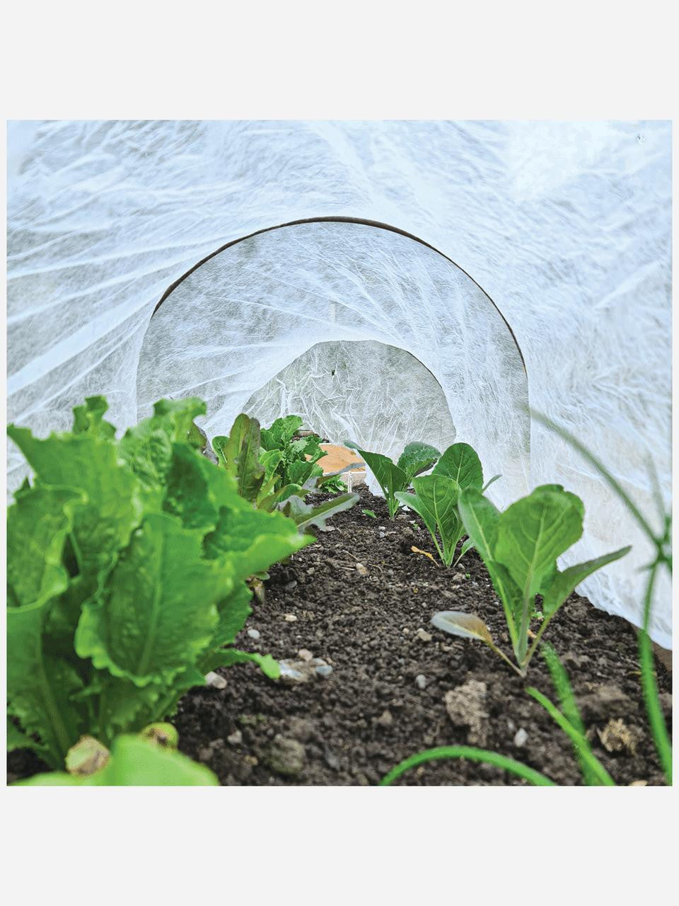 Small Heritage Plant Supports Cloche Hoops for garden plant protection and support.