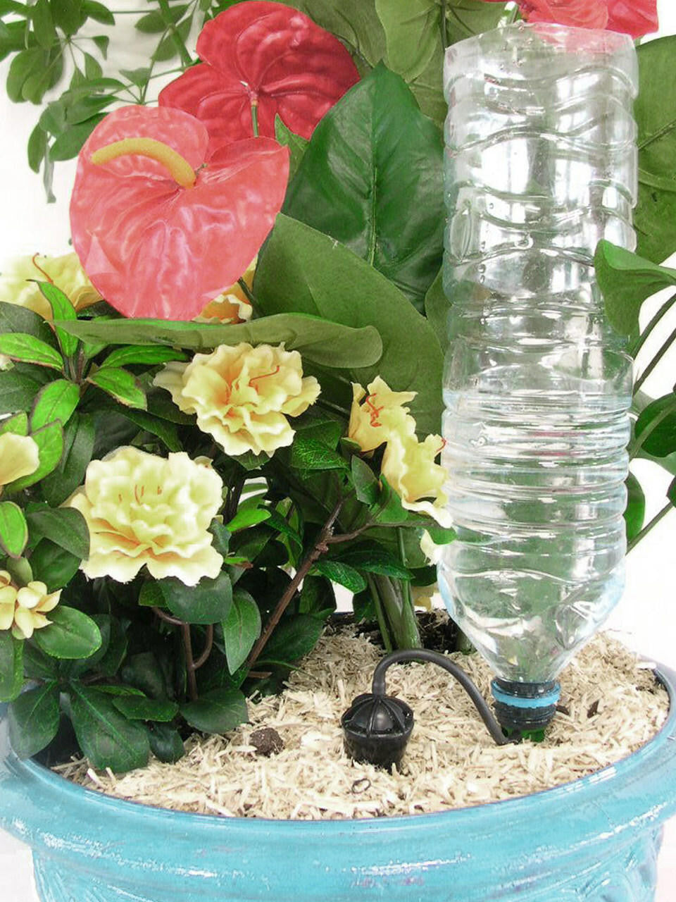 Iriso Drip Feed Bottle Watering System single with adjustable drip rate for indoor plants — Bugg