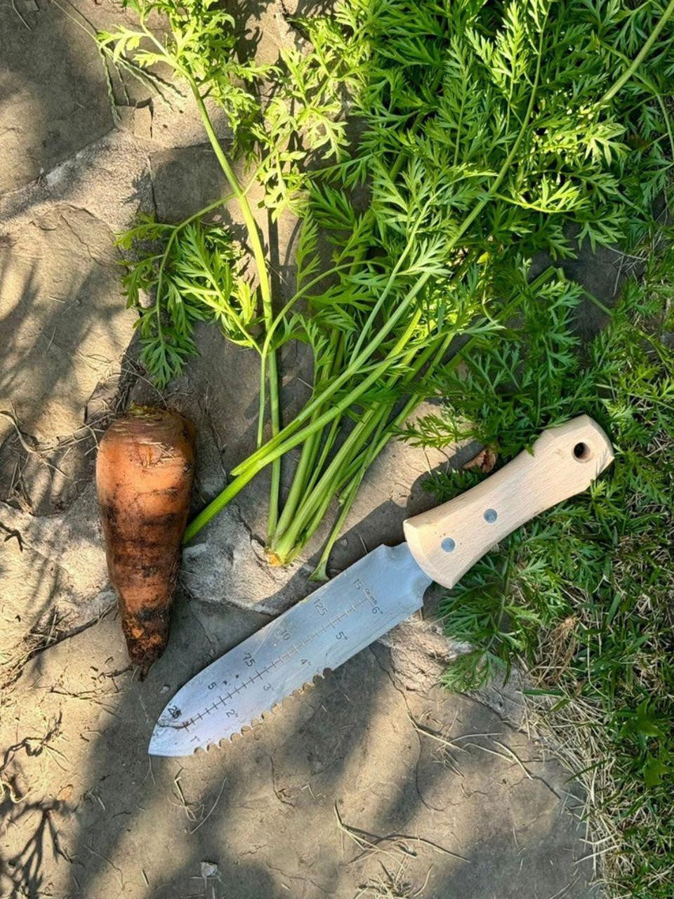 Ken-Katabami Hori Hori gardening tool set with small and standard-sized blades for versatile gardening tasks.