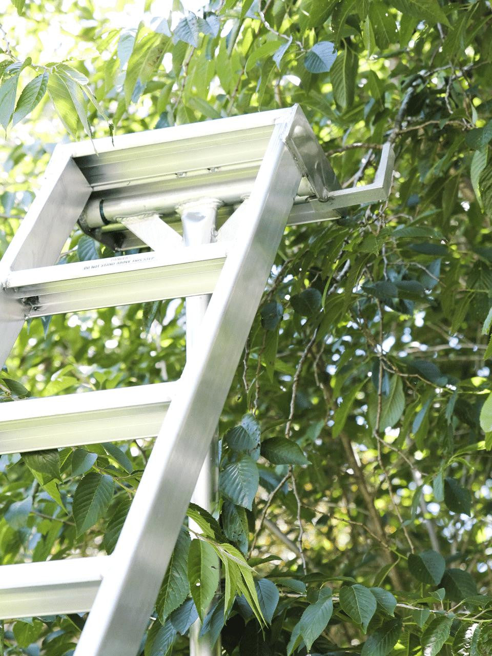 Landquip Allite Ladder 10-foot showing non-slip steps and safety rails for stable climbing — Bugg