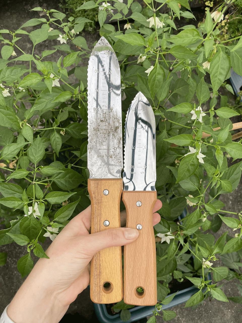 Nisaku Hori Hori Weeder 170mm gardening tool with stainless steel blade and wooden handle for planting and weeding.