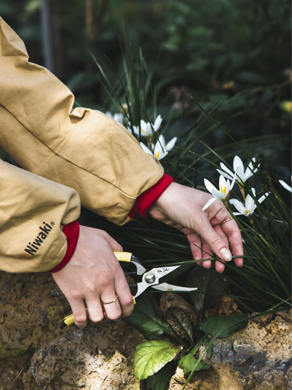 Niwaki GR Pro lightweight secateurs with ergonomic handles and sharp blades for precise pruning of small branches