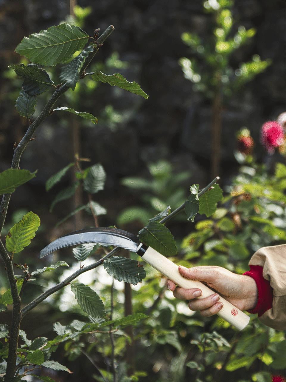 Niwaki Herbaceous Sickle with wooden handle and curved metal blade for cutting herbs and small plants in the garden.