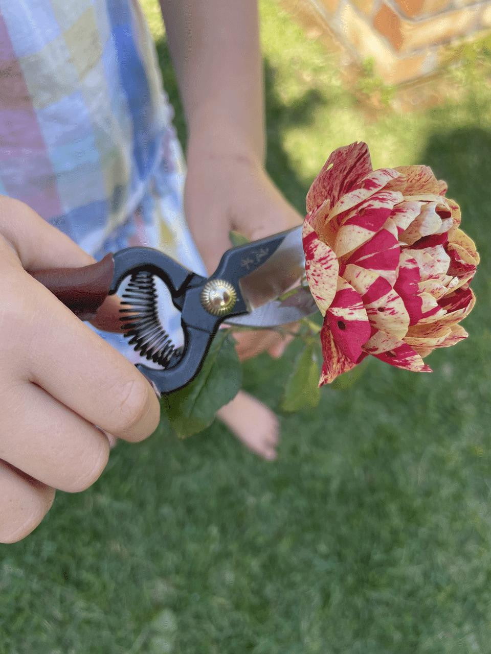 Toyama Hamono T-33 mini secateurs with ergonomic handles for precise pruning and trimming of small branches and plants.
