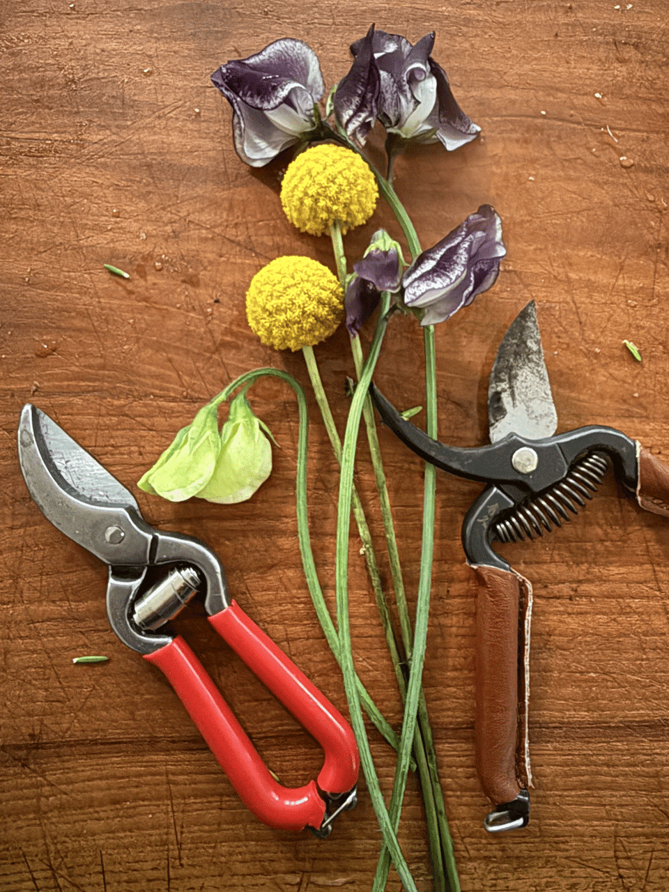 Toyama Hamono T-33 Mini Secateurs with ergonomic handles for precise pruning of small branches and garden plants.