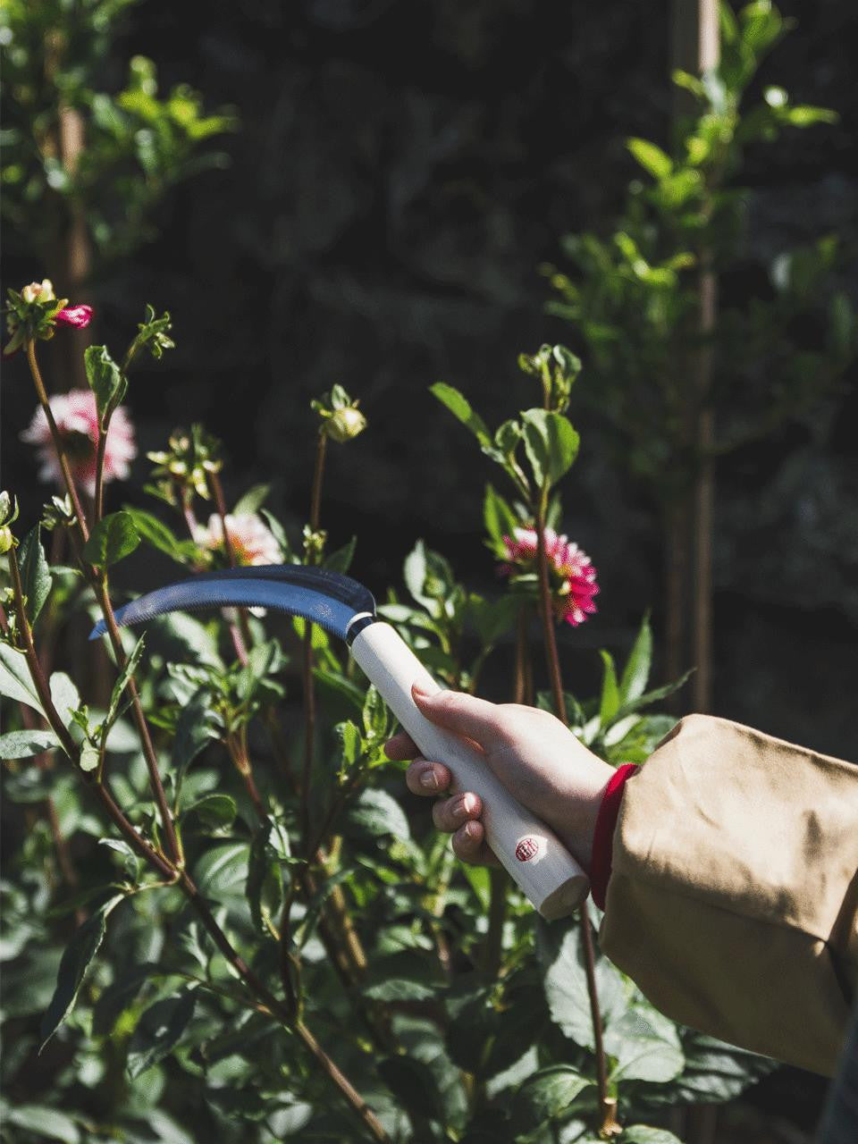 Niwaki Herbaceous Sickle with curved blade and wooden handle for garden harvesting and plant maintenance.