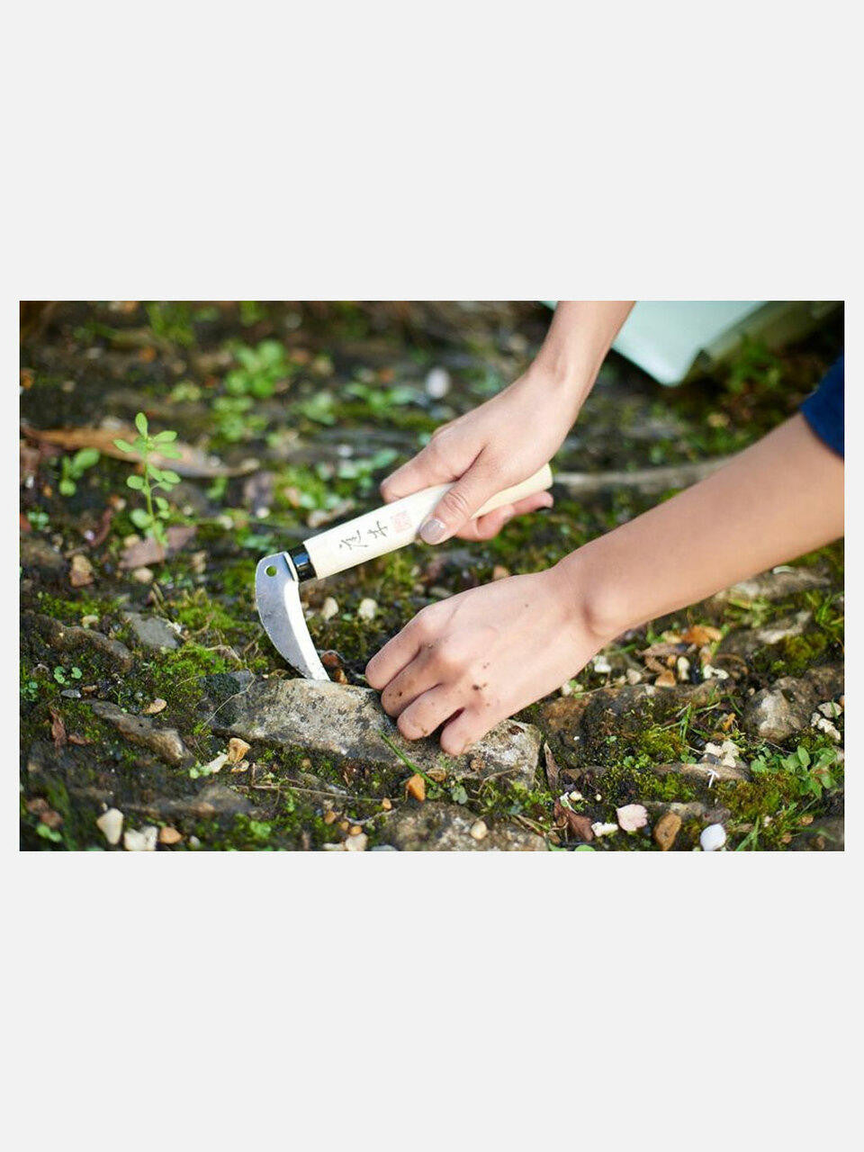 Niwaki Mini Sickle with curved blade and wooden handle, ideal for small gardening and pruning tasks.