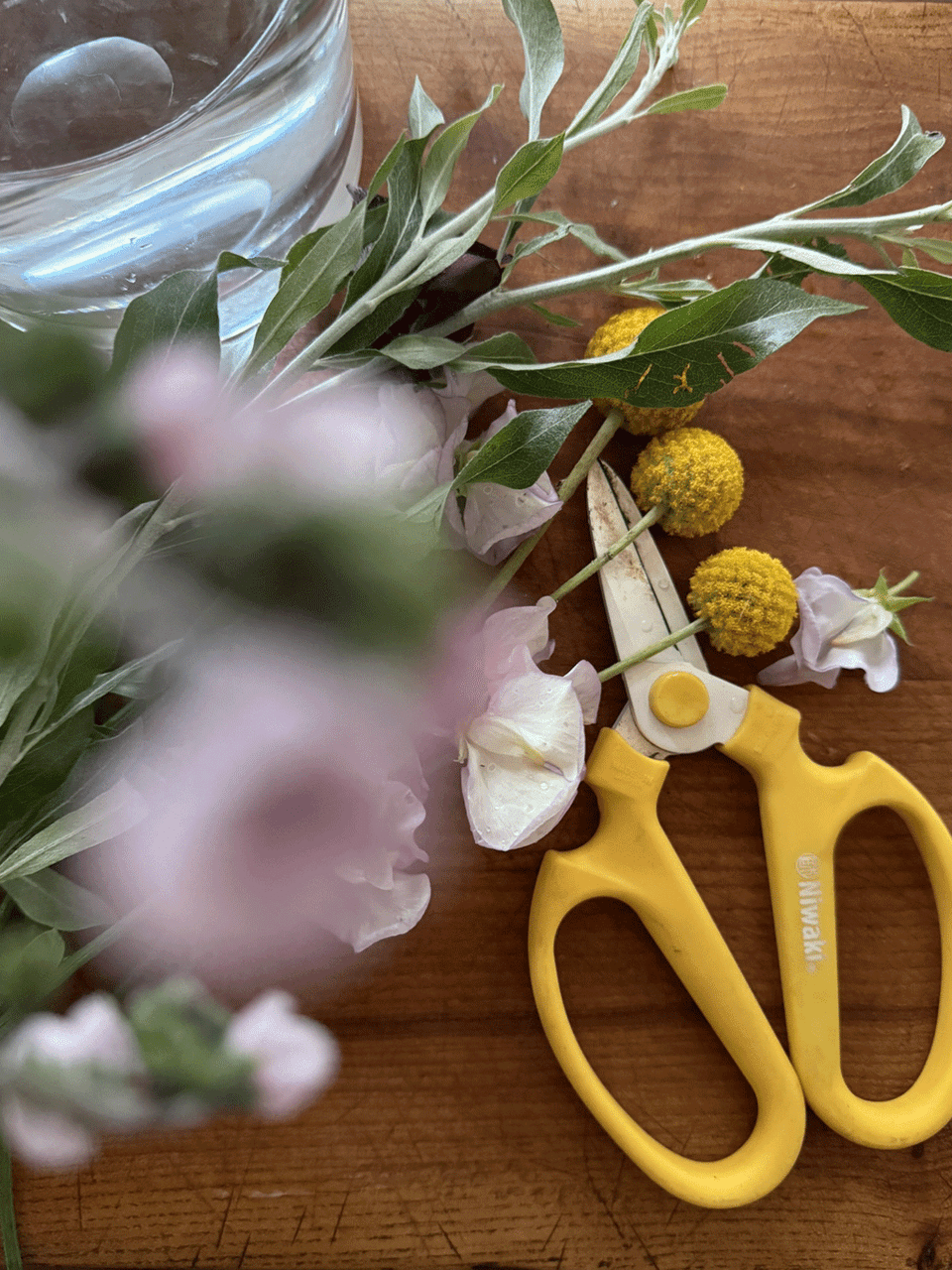 Niwaki Sakagen flower scissors with pink handles, sharp blades for precise flower and plant trimming.