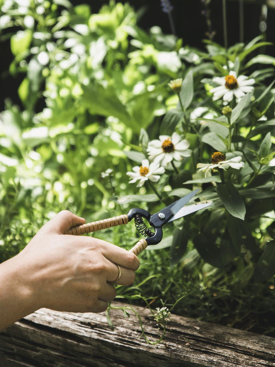 Niwaki Rattan Snips with ergonomic handles and sharp blades for precise rattan cutting and shaping in gardening or craft projects.