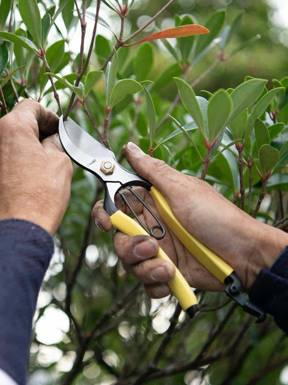 Niwaki GR Pro Secateurs with ergonomic handles, sharp blades, and compact design for precise gardening cuts.