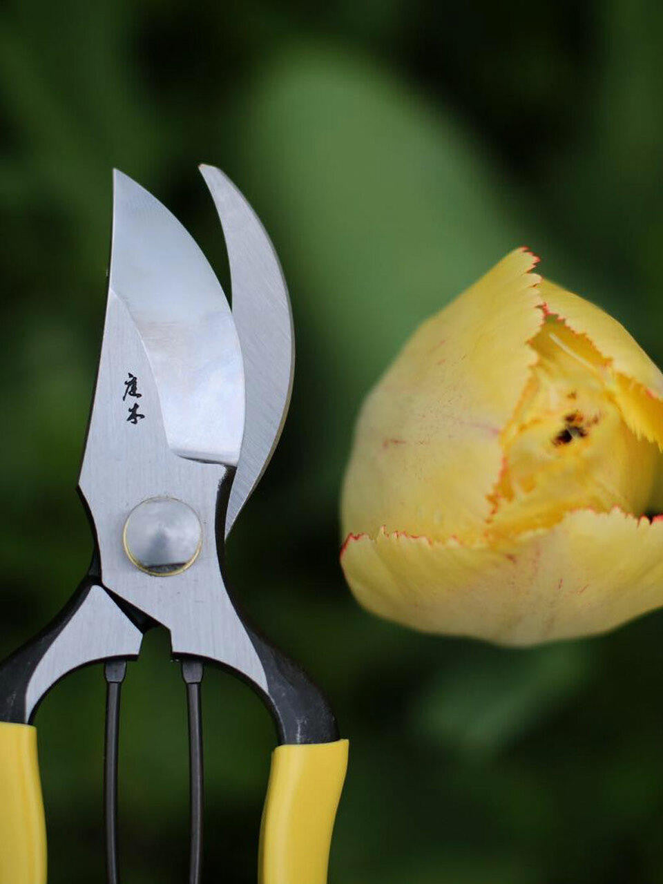 Niwaki GR Pro Secateurs with ergonomic handles and sharp blades for precise pruning and gardening tasks.