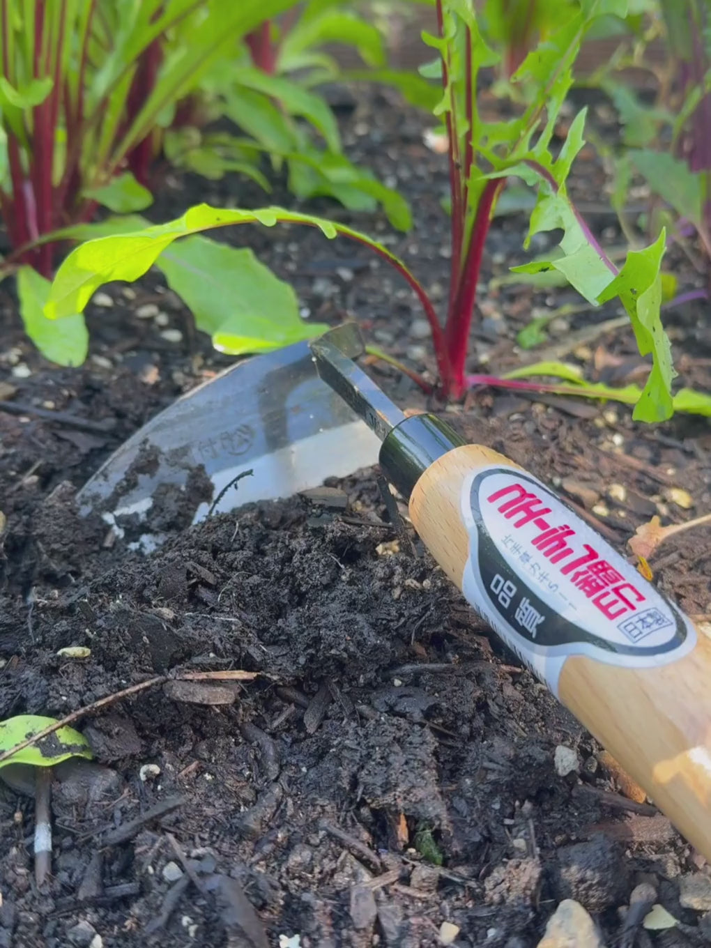 Load video: Garden Hoe - Right Handed