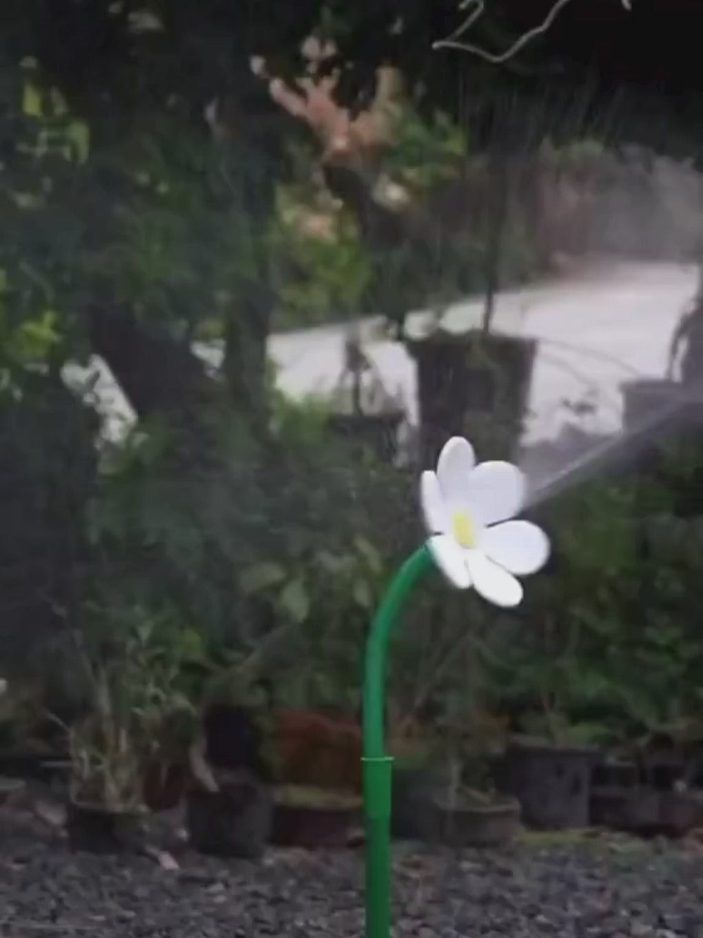 Load video: Dancing Sunflower Sprinkler - Red