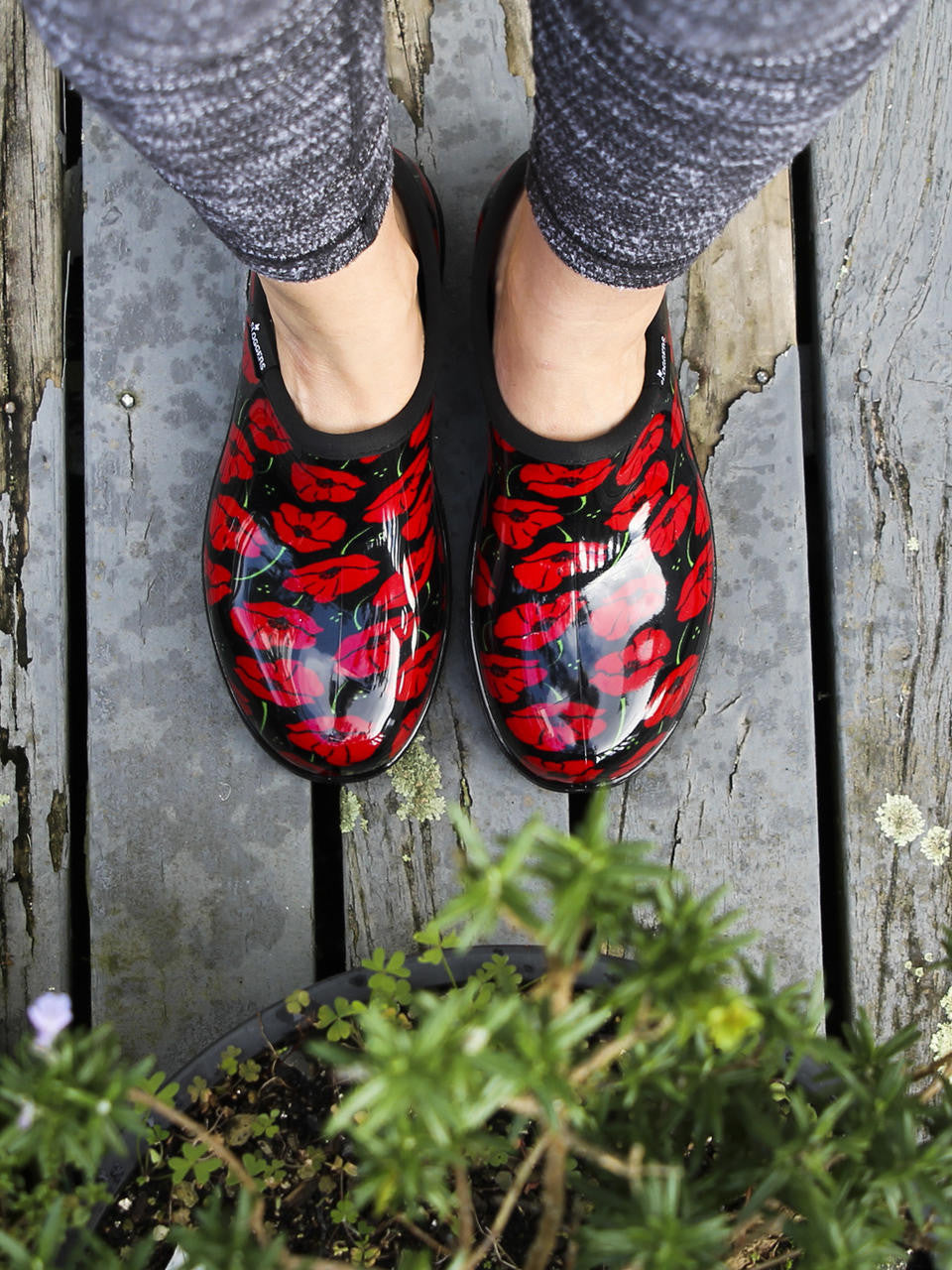Sloggers Women's Red Poppies Rain Shoes showing bold floral print and waterproof slip-on design — Bugg