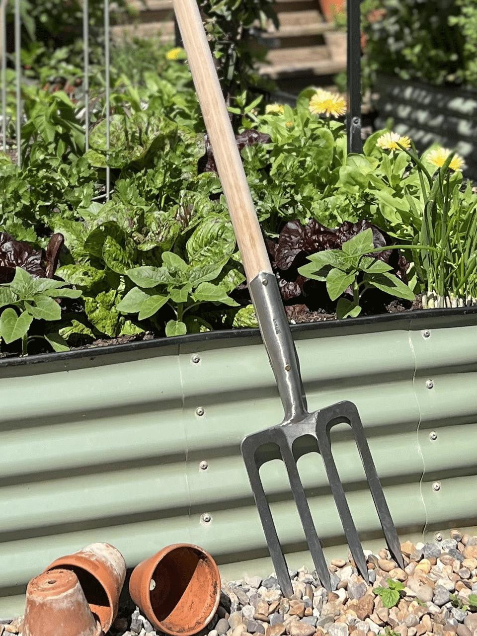Sneeboer Border Fork 4 Tyne Luxe with durable stainless steel tines and polished wooden handle for gardening and edging tasks.