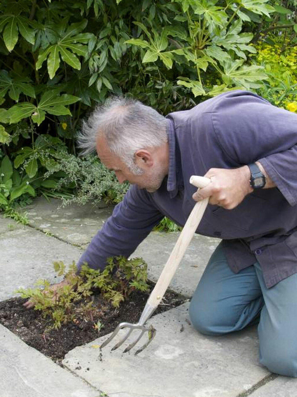 Sneeboer Great Dixter Fork with four tines, handcrafted garden tool with wooden handle for planting and cultivating.