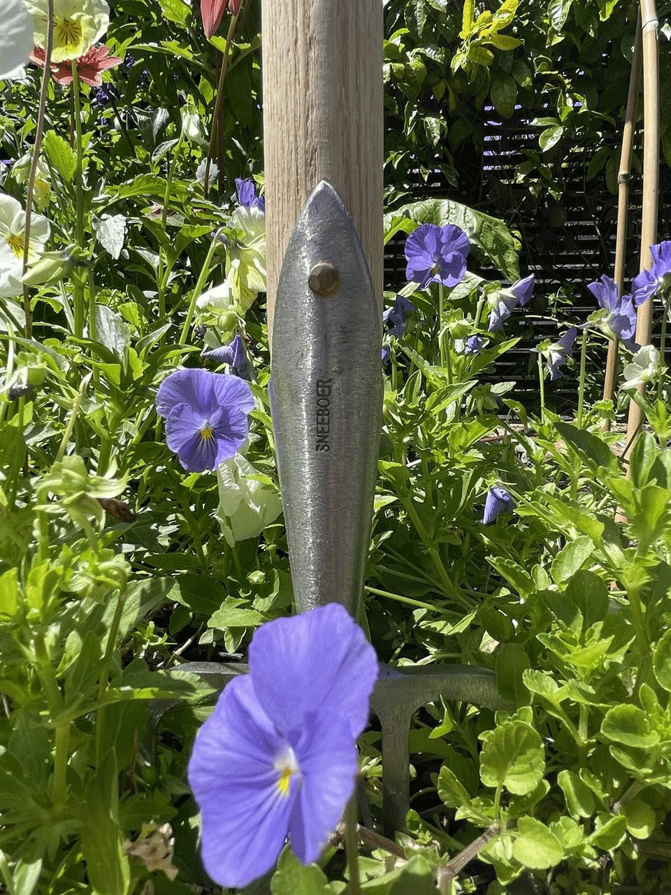 Sneeboer Great Dixter Fork with 4 tines, handcrafted gardening tool with durable stainless steel tines and ergonomic wooden handle.