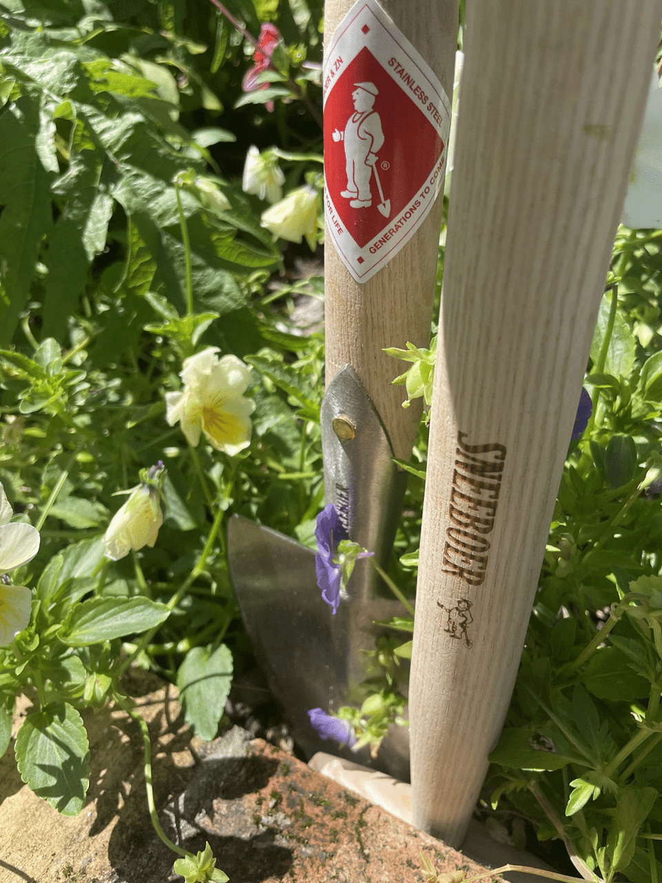 Sneeboer Perennial Spade with T-Handle for precise planting and perennial division — Bugg
