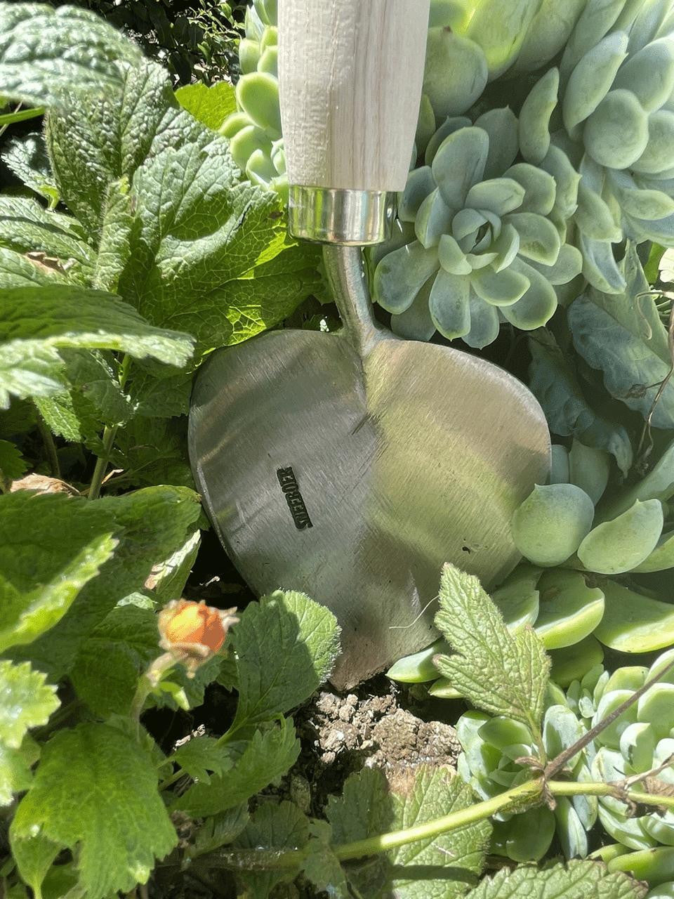Sneeboer old Dutch style planting trowel with wooden handle and stainless steel blade for gardening and planting tasks.