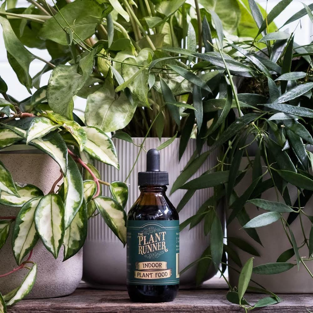 Indoor Plant Food by The Plant Runner, bottle of plant fertilizer with measuring cap, suitable for indoor houseplants