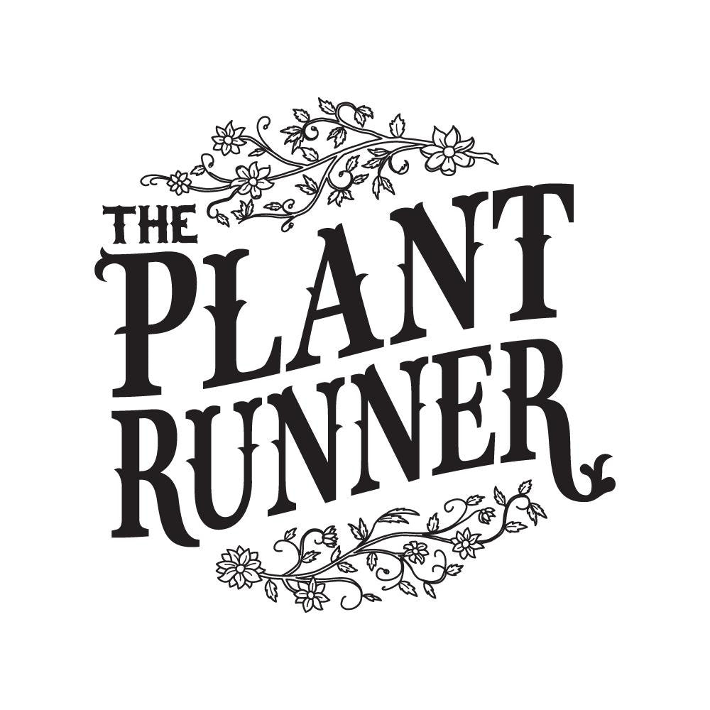 Bottle of The Plant Runner Neem Oil for plant care, showing the dark neem oil liquid in a clear container.