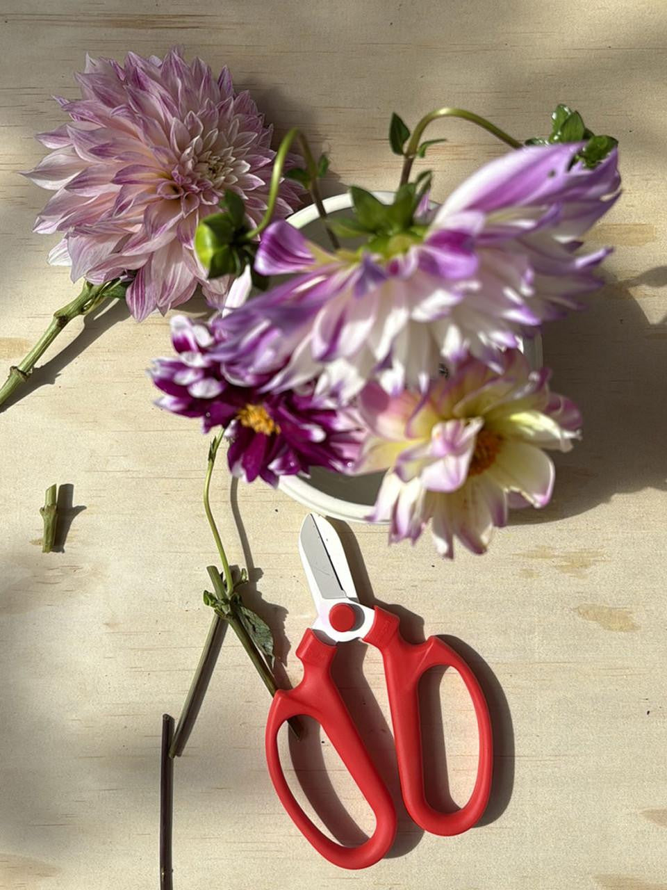 Toyama Hamono Sakagen flower scissors, 170mm, with blue handles, designed for precise floral cutting and gardening tasks.