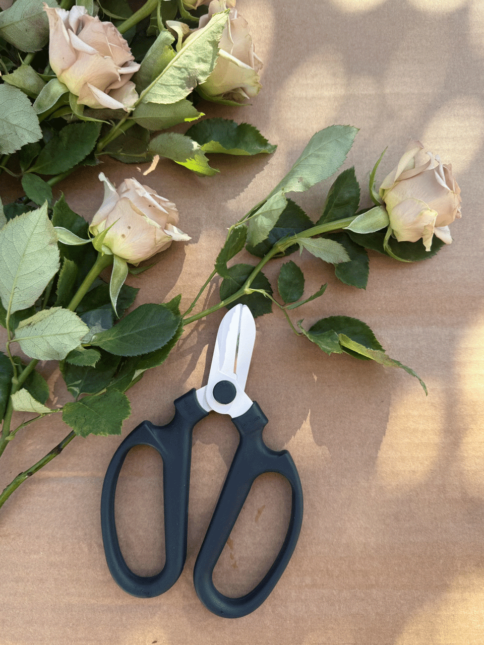 Toyama Hamono Sakagen Flower Scissors 170mm with blue handles, sharp stainless steel blades for precise floral trimming.