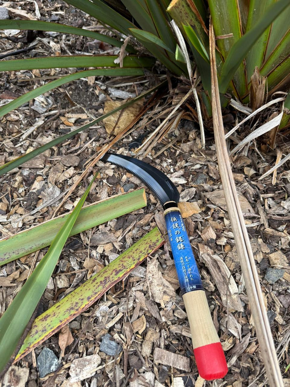 Toyotomi Kozan flax sickle with a wooden handle and curved metal blade for harvesting flax plants.